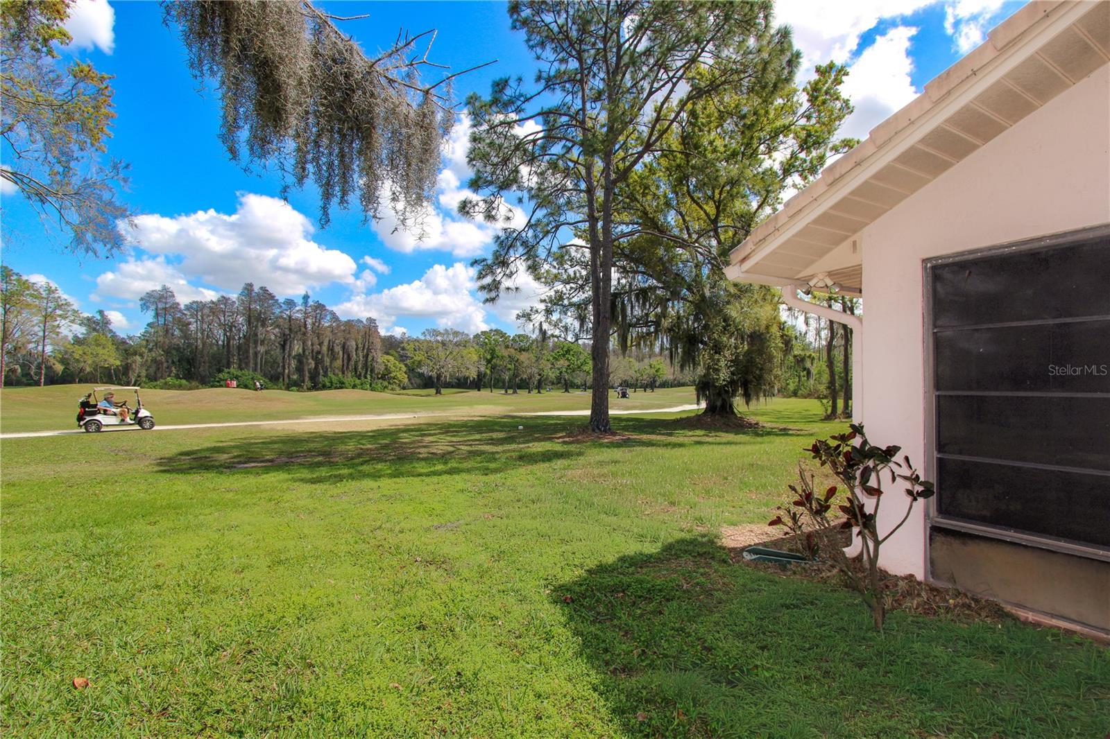 Image 3 of 33 For 1003 Calle Rosa Place