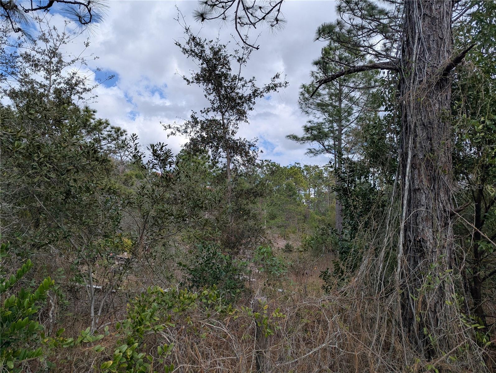 Image 10 of 12 For 0 Gannet Avenue