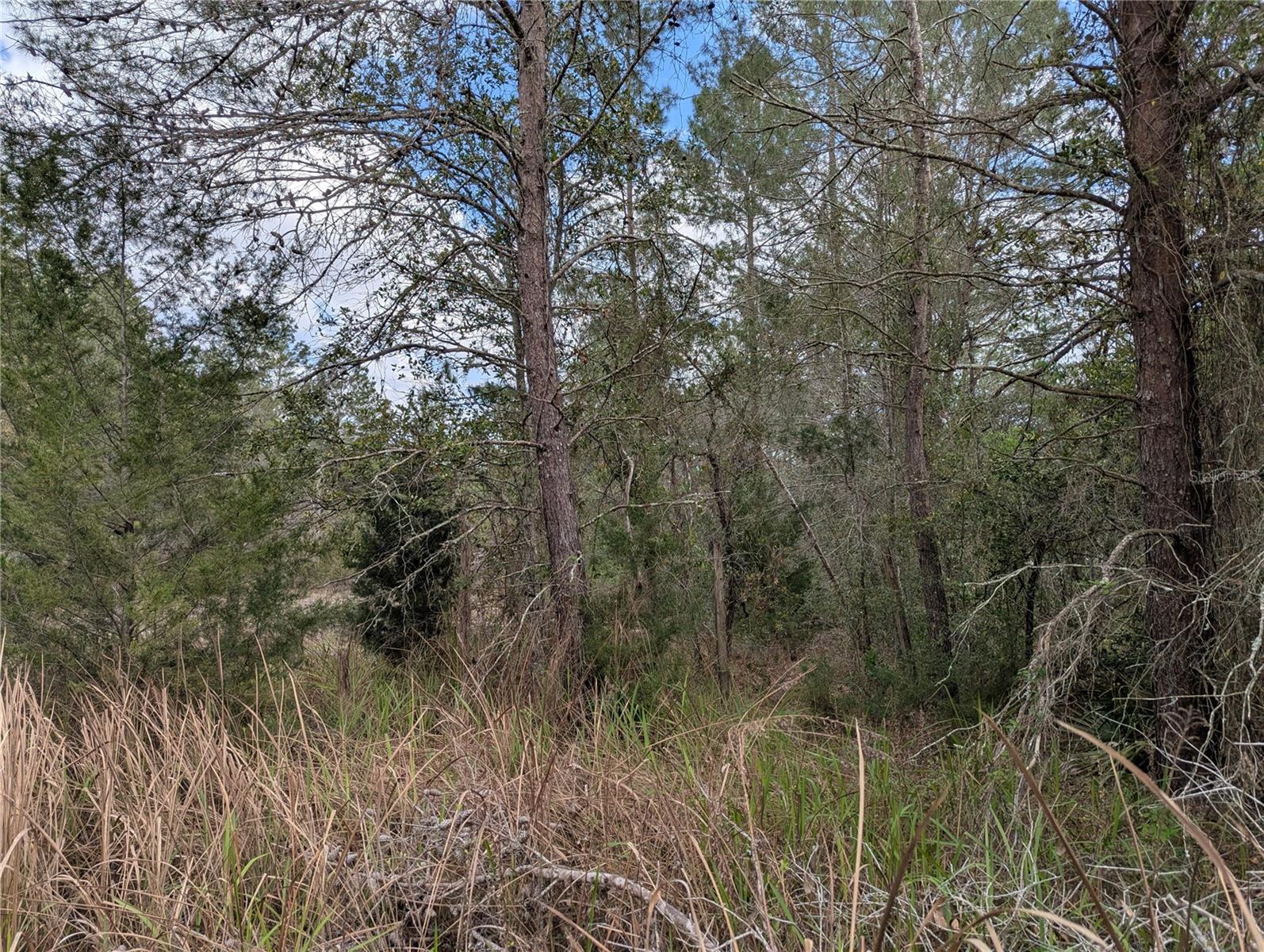 Image 6 of 12 For 0 Gannet Avenue