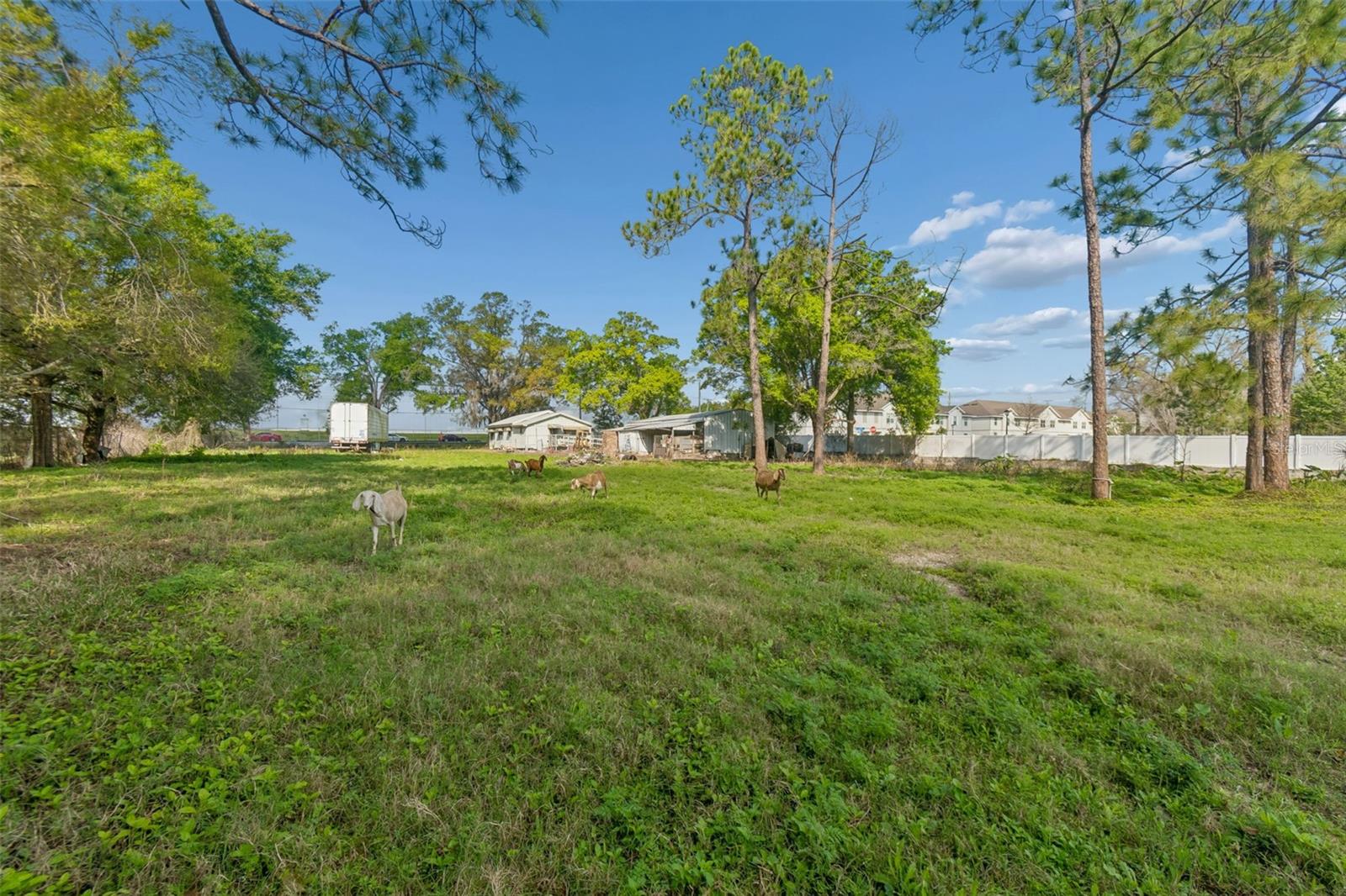 Image 44 of 51 For 6213 Orient Road