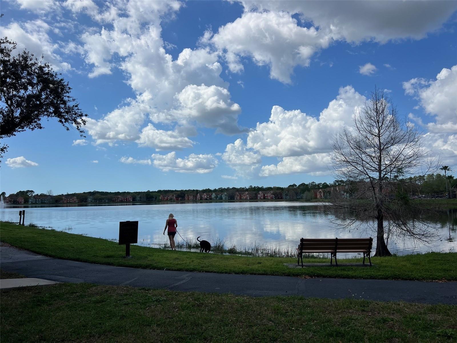 Listing photo id 26 for 9846 Lake Chase Island Way