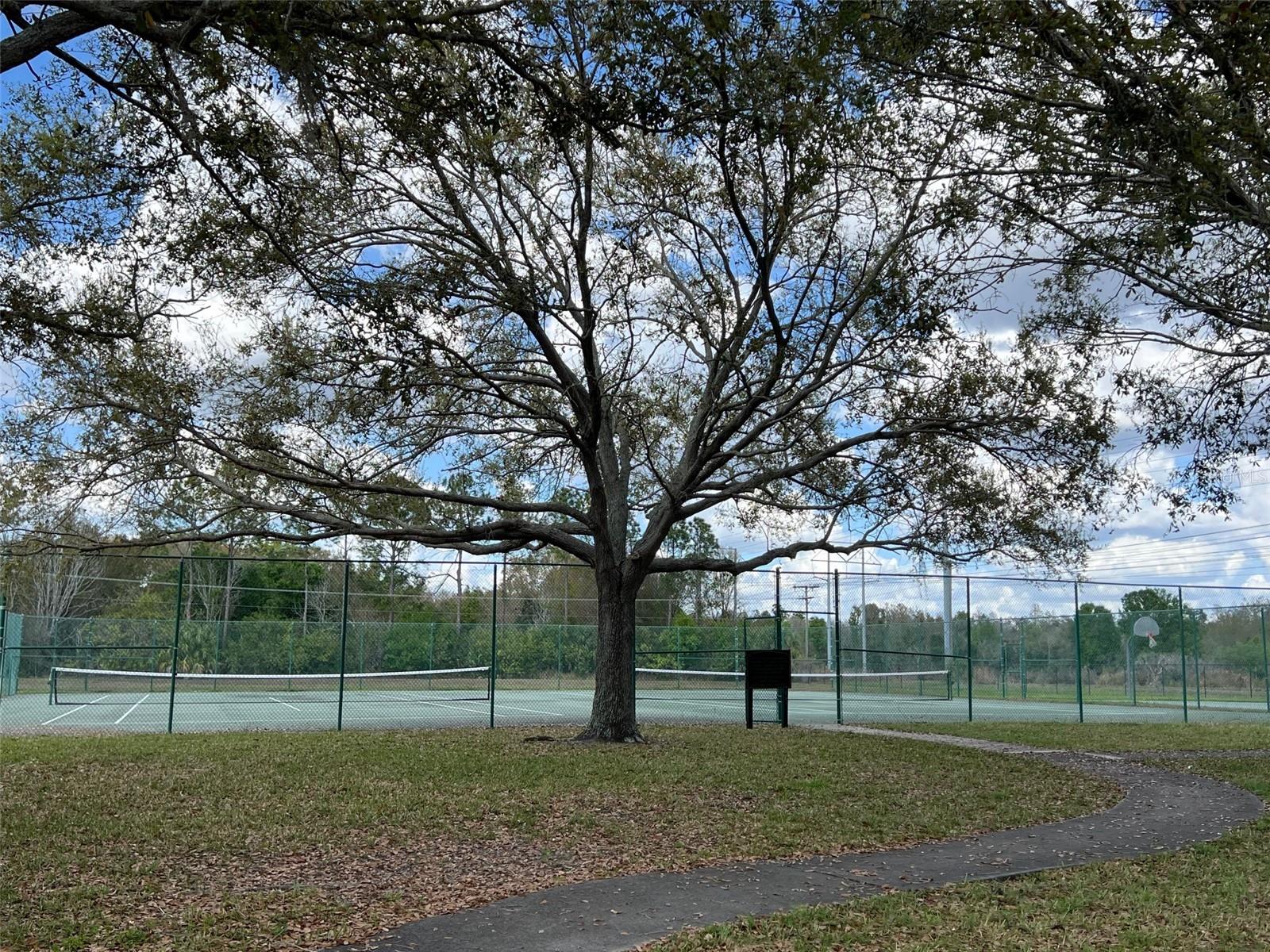 Listing photo id 28 for 9846 Lake Chase Island Way