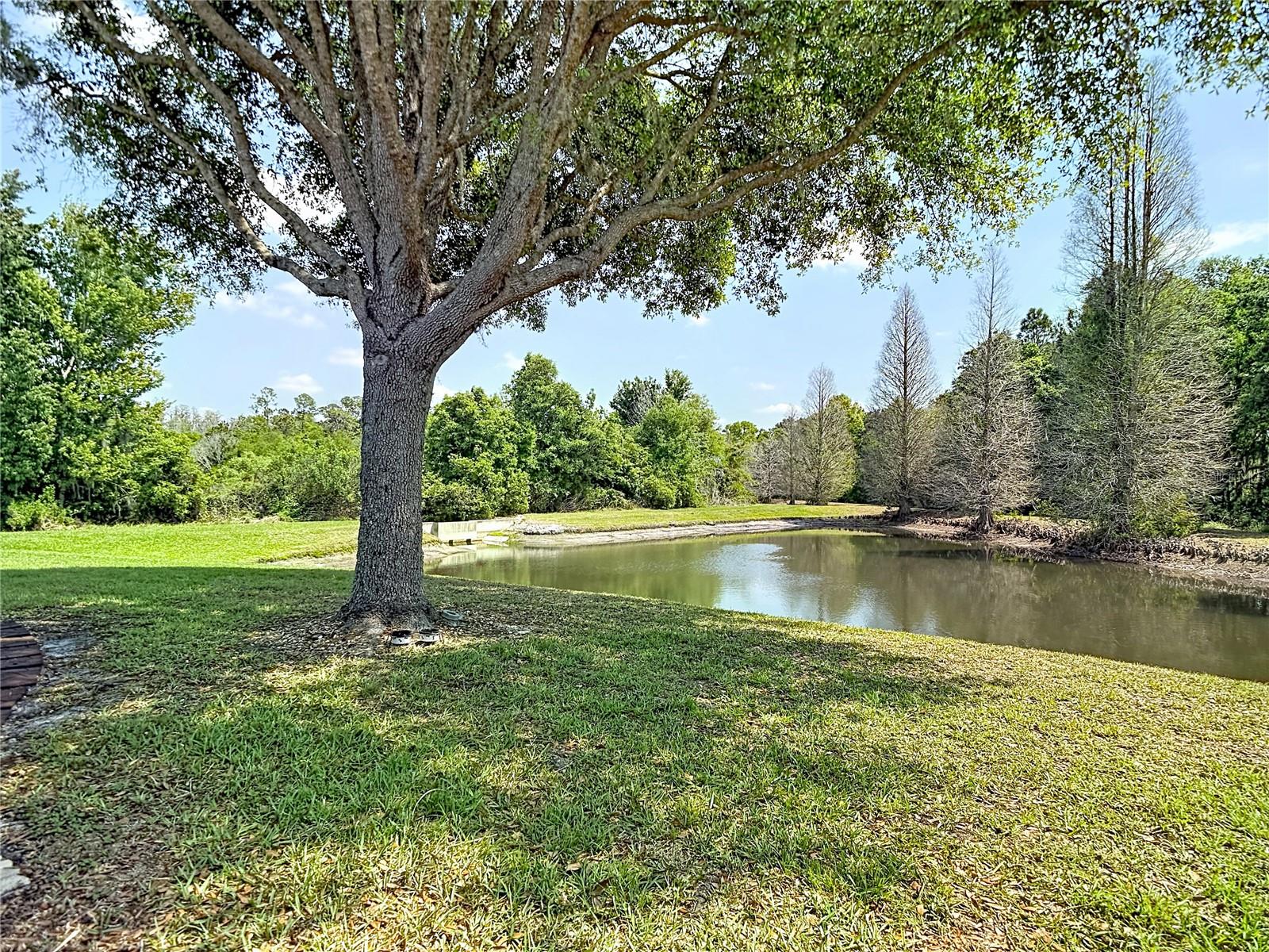 Image 43 of 48 For 31965 Stillmeadow Drive