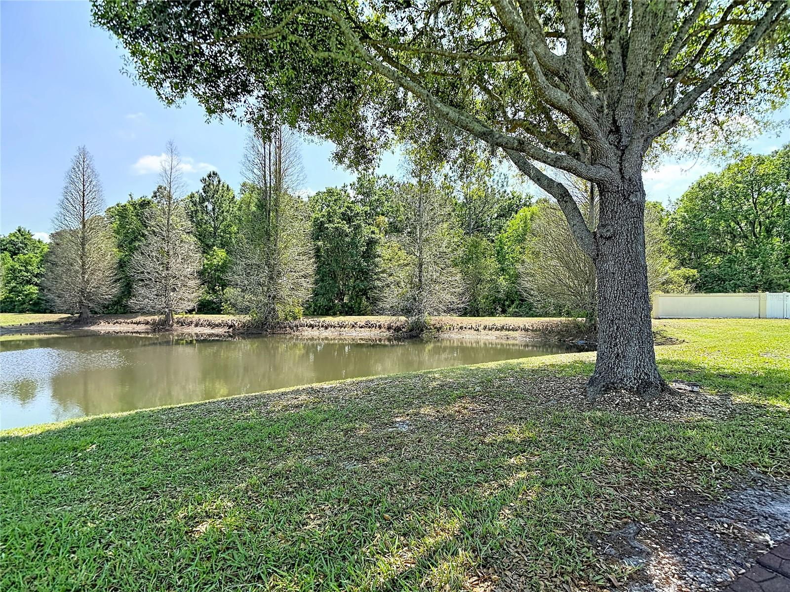 Image 44 of 48 For 31965 Stillmeadow Drive