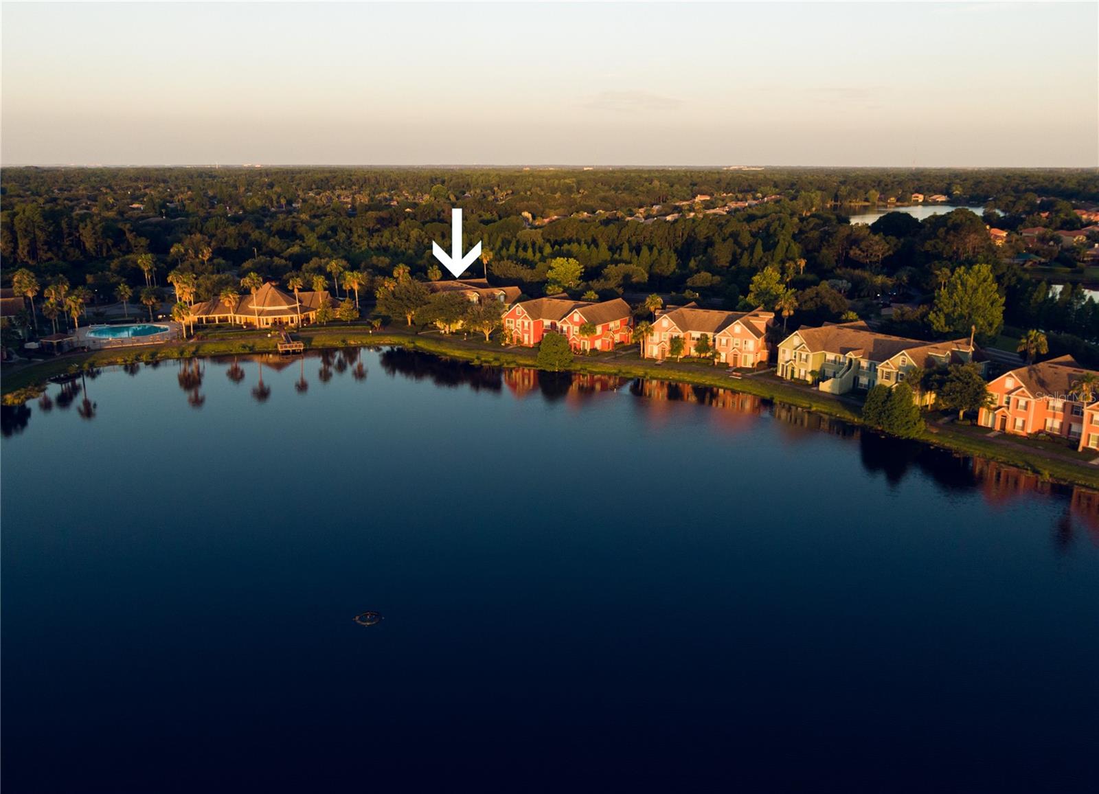Details for 9412 Lake Chase Island Way 9412, TAMPA, FL 33626