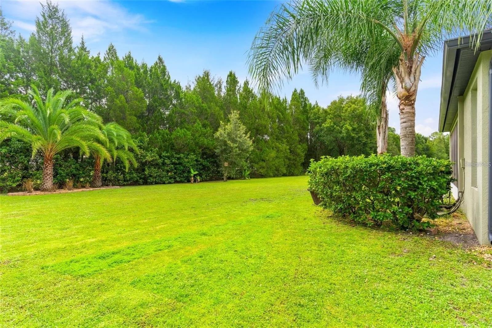 Image 36 of 36 For 1122 Nashville Drive