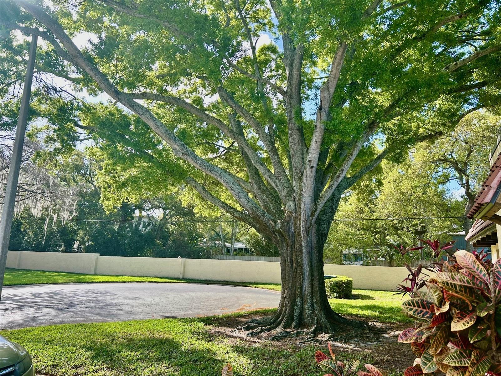 Image 17 of 17 For 1701 Pinehurst Road 18c