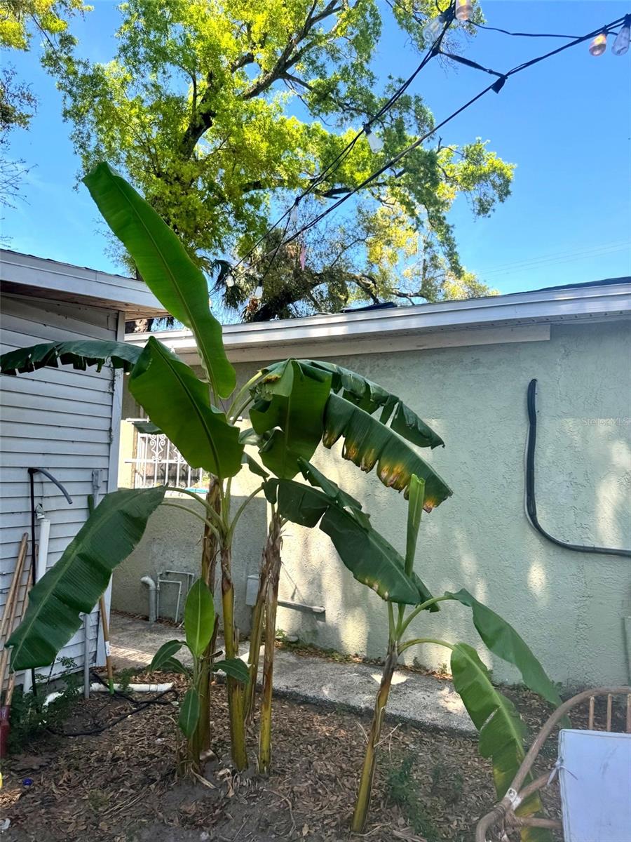 Image 27 of 50 For 505 Columbus Drive