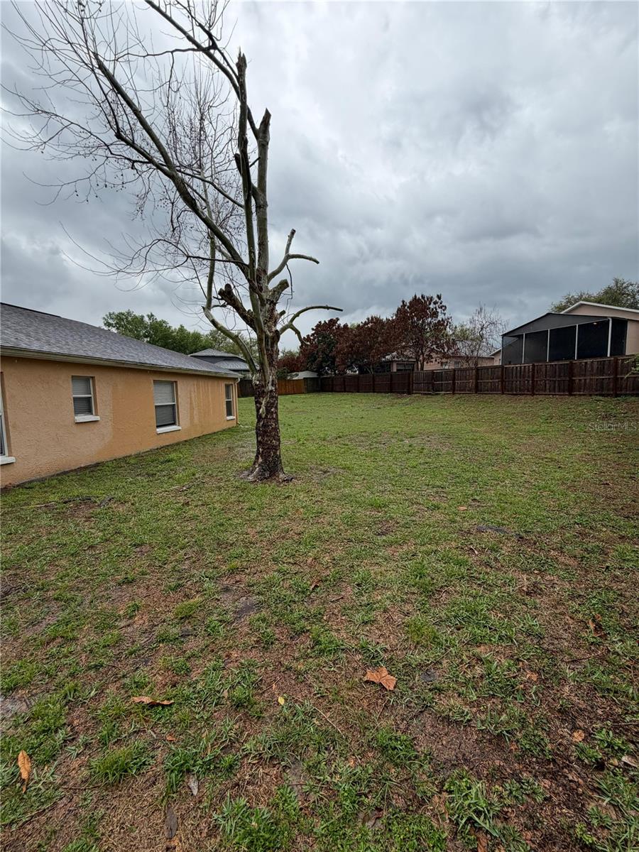 Image 5 of 37 For 302 Crystal Goblet Court