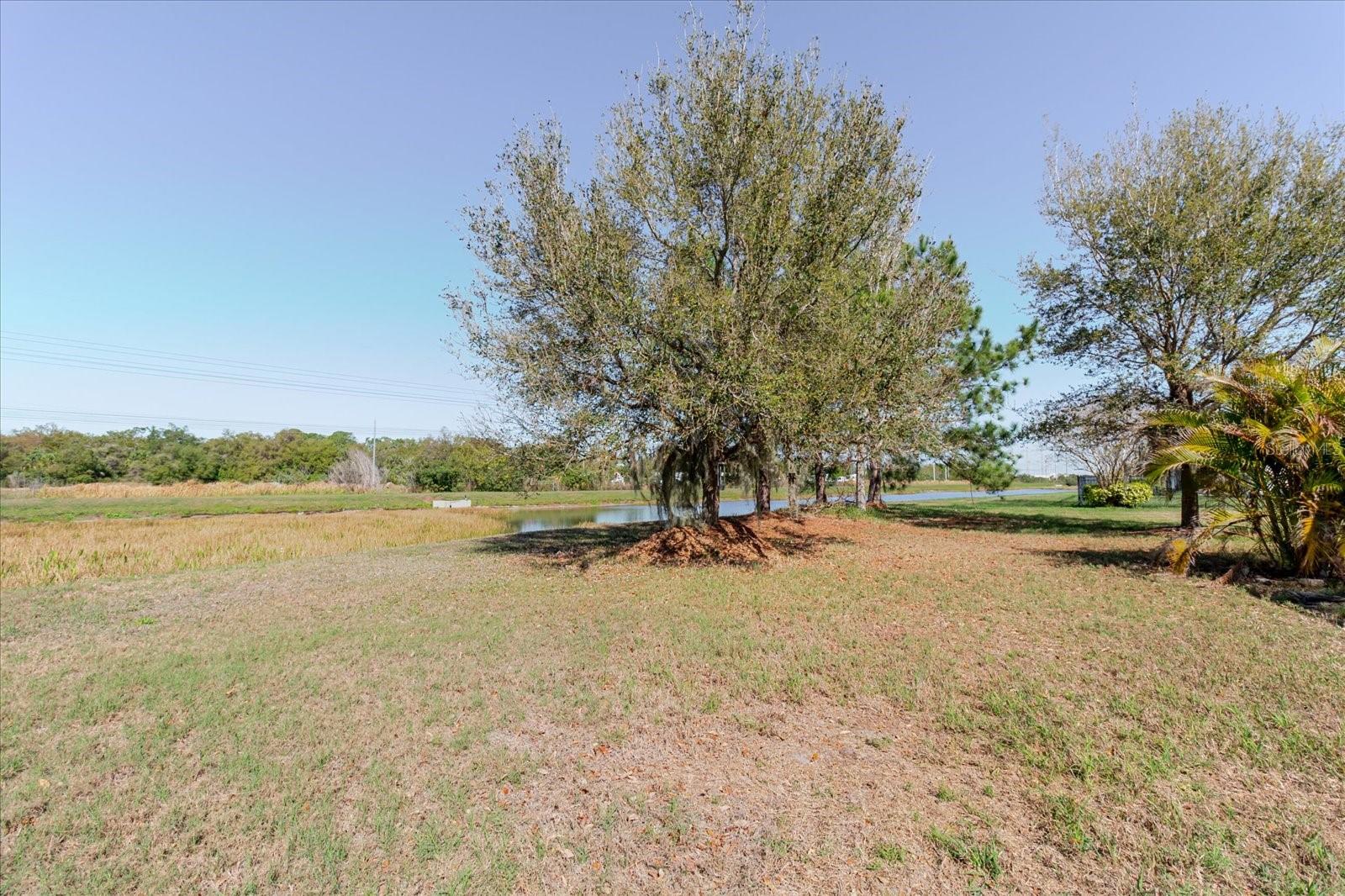 Listing photo id 64 for 6516 Salt Creek Avenue