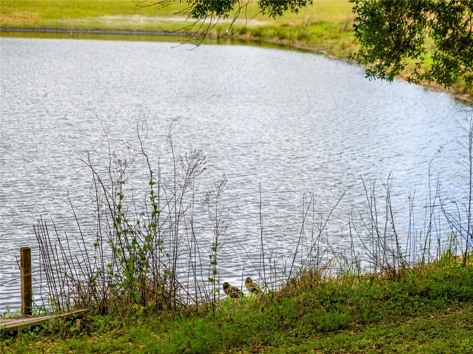 Image 38 of 44 For 24180 Landing Drive