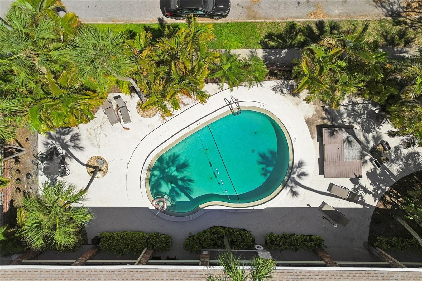 Image 36 of 39 For 208 Danube Avenue 103