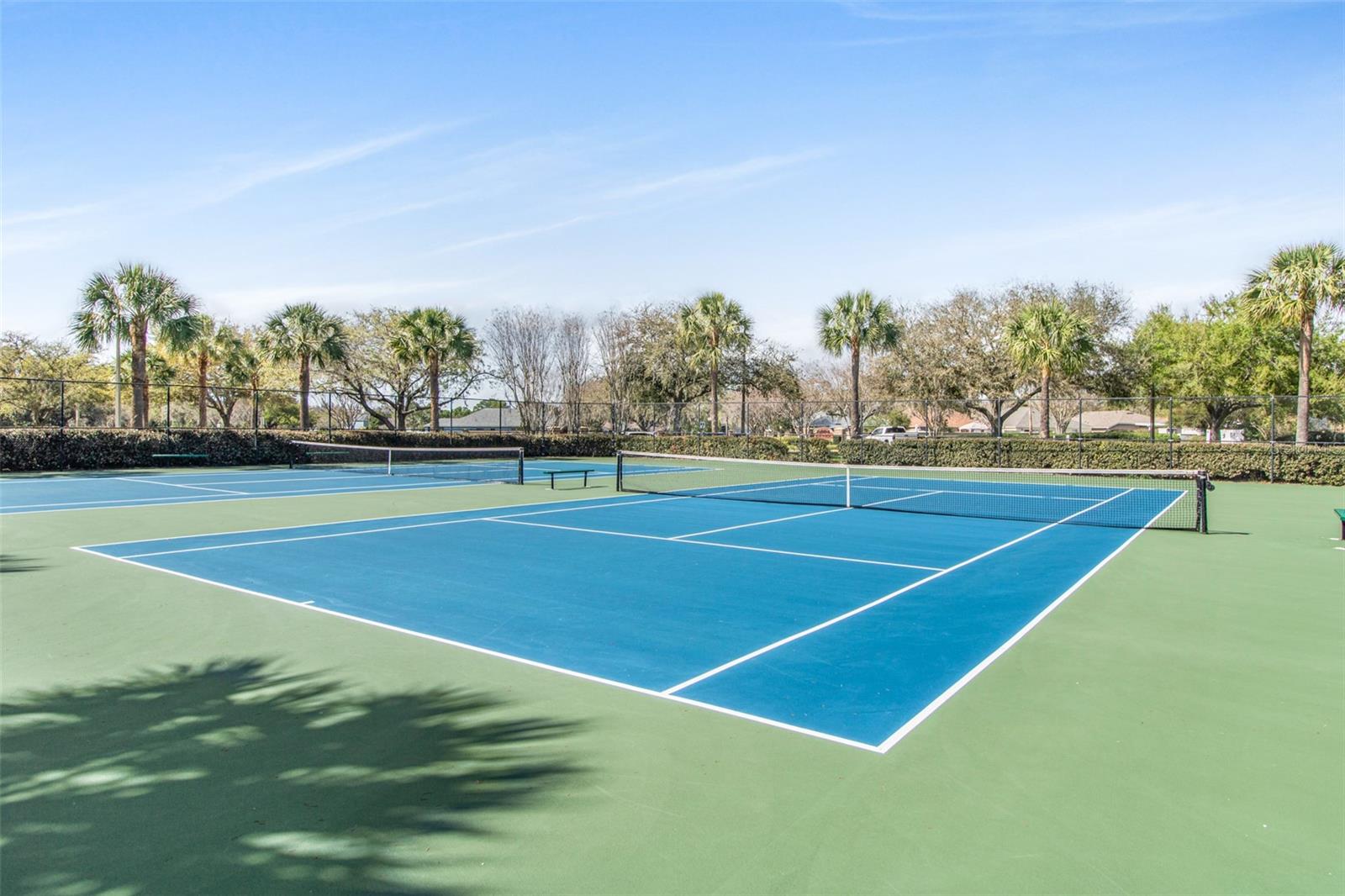 Image 33 of 34 For 19331 Haskell Place