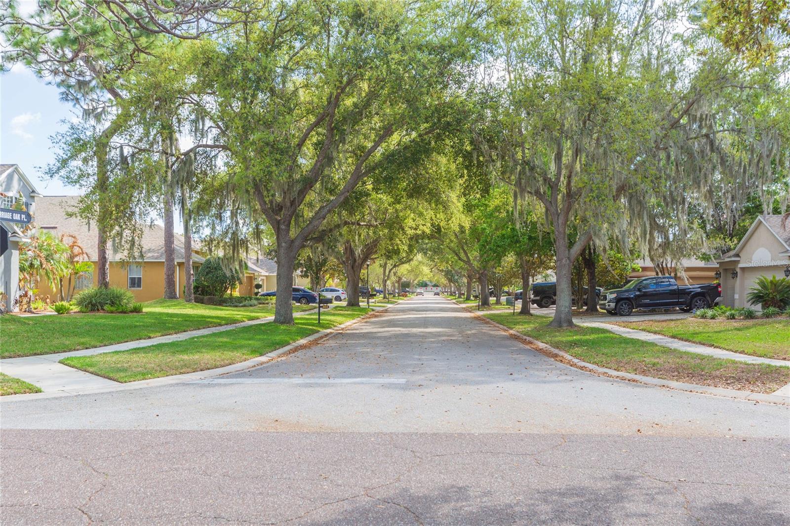 Image 49 of 50 For 304 Apache Lane