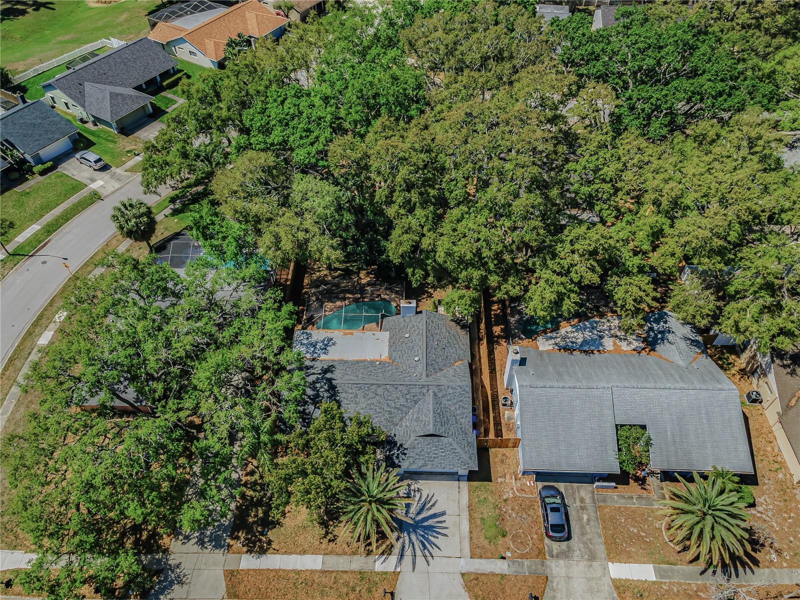 Image 11 of 34 For 321 Arbor Drive E