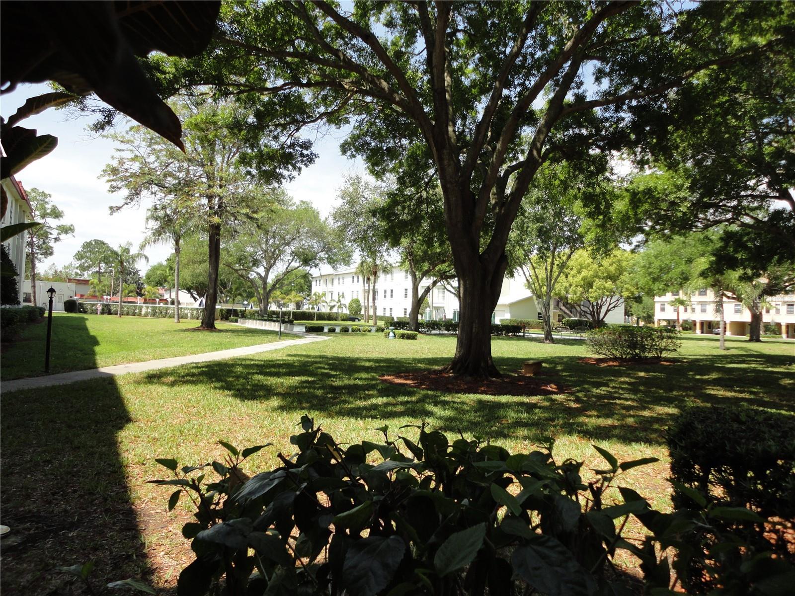 Image 24 of 24 For 2700 Bayshore Boulevard 2205