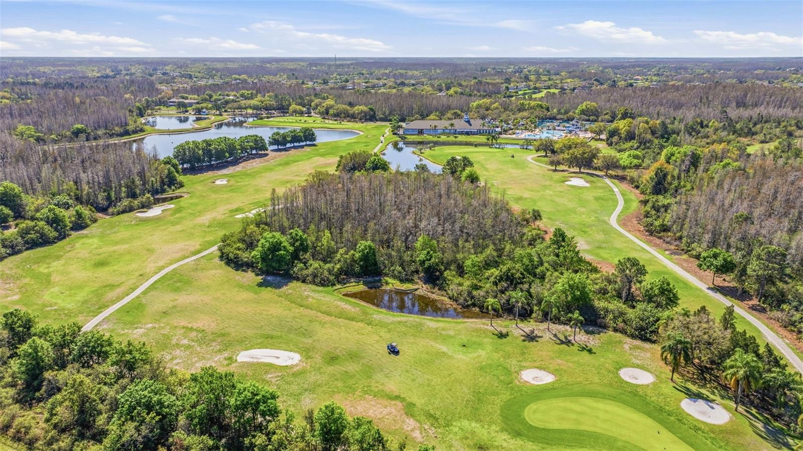 Image 43 of 60 For 4103 Heritage Lake Court