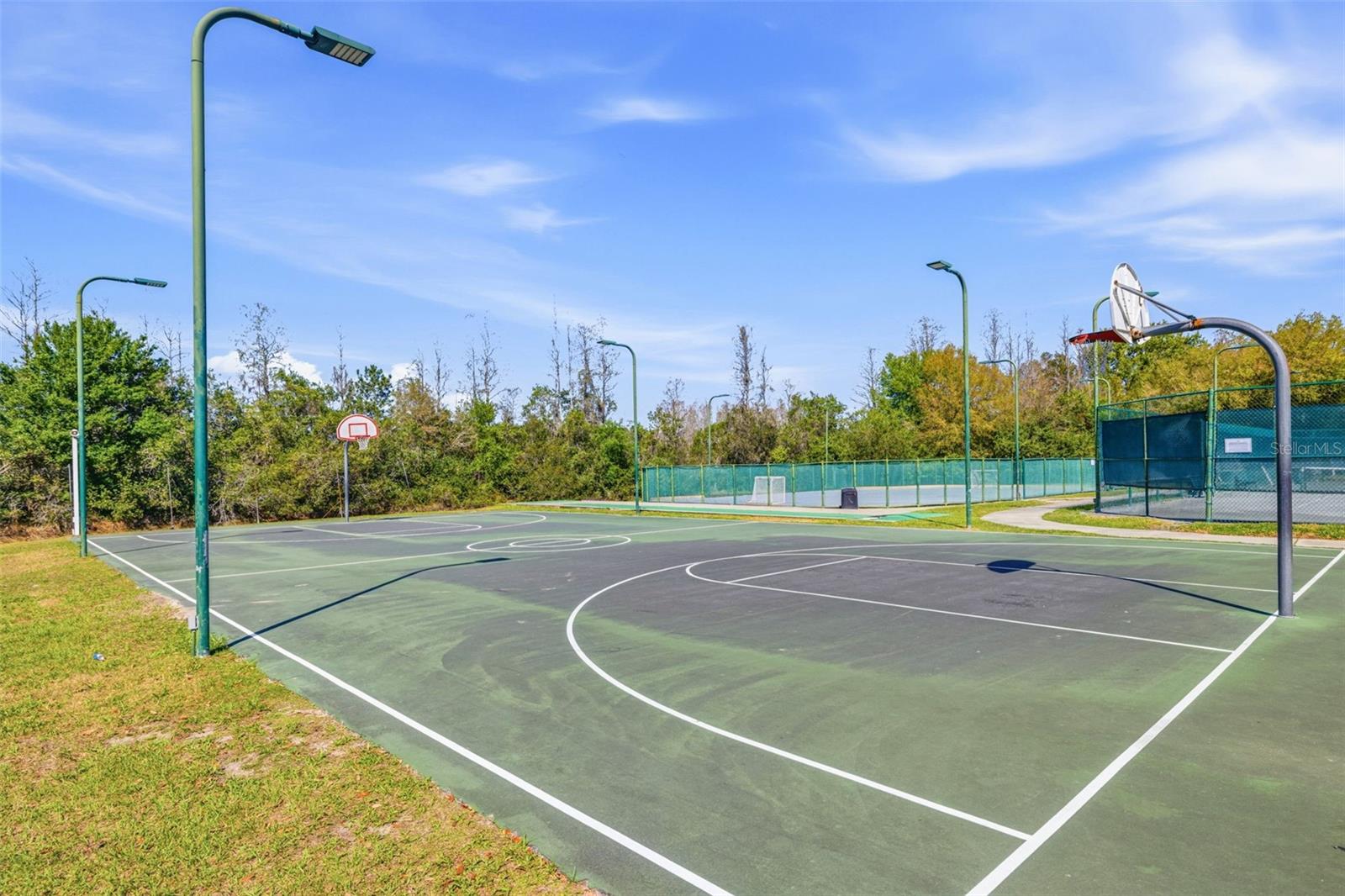 Image 54 of 60 For 4103 Heritage Lake Court