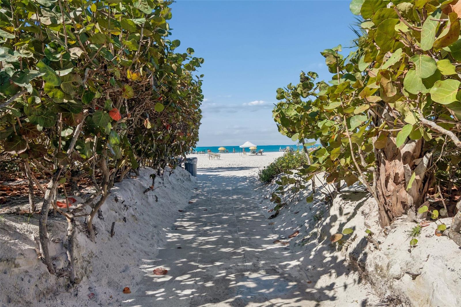 Image 76 of 98 For 6263 Midnight Pass Road 301