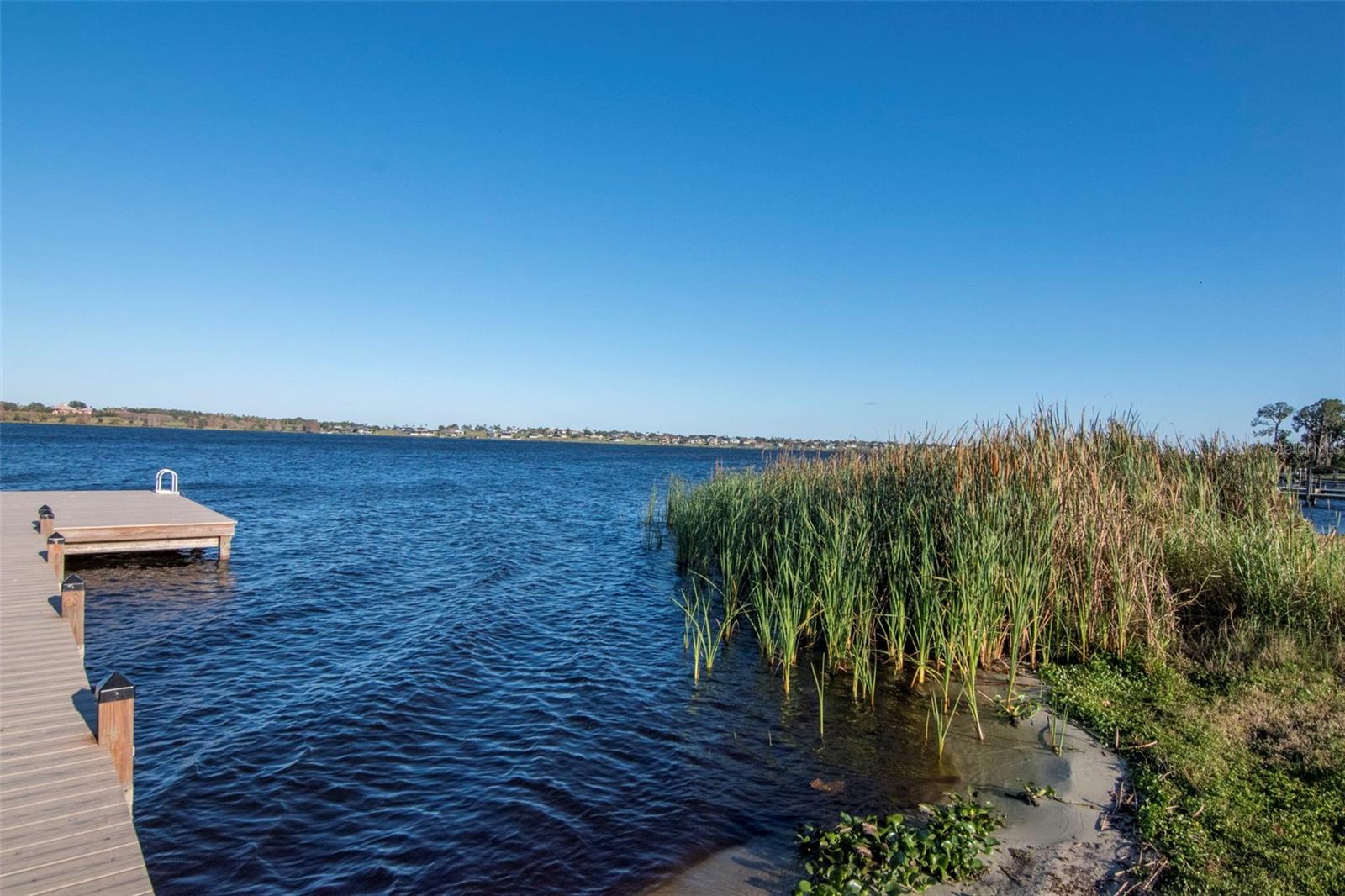 Image 54 of 68 For 169 Summershore Drive