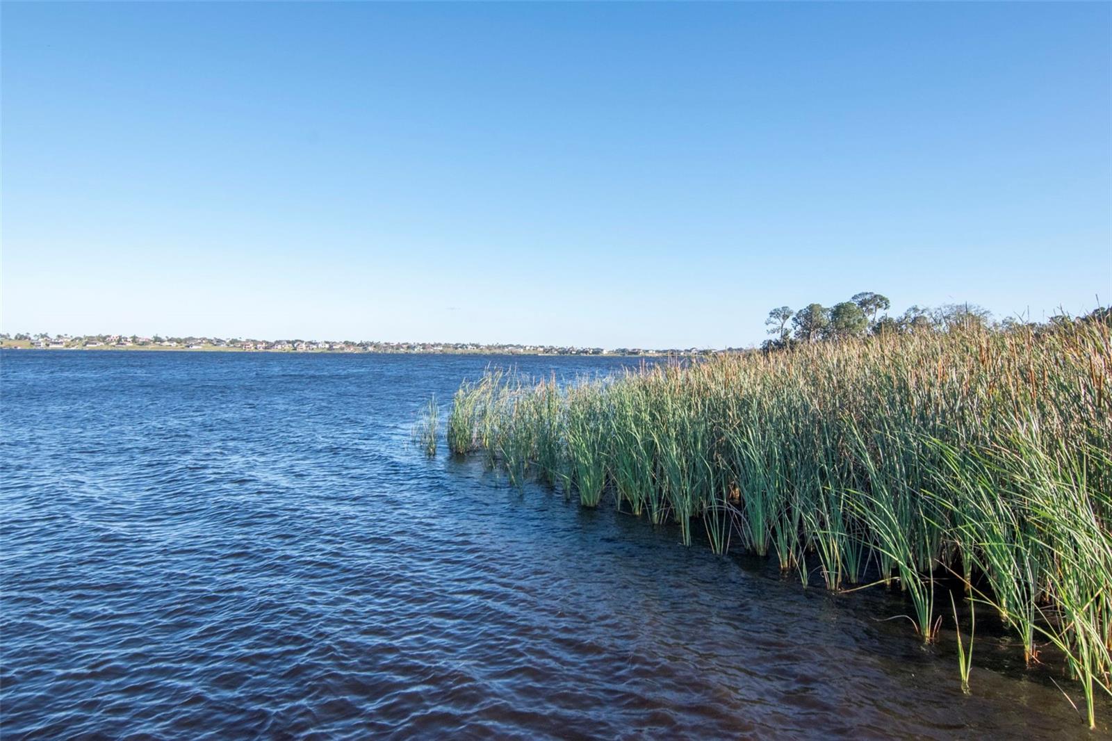 Image 57 of 68 For 169 Summershore Drive