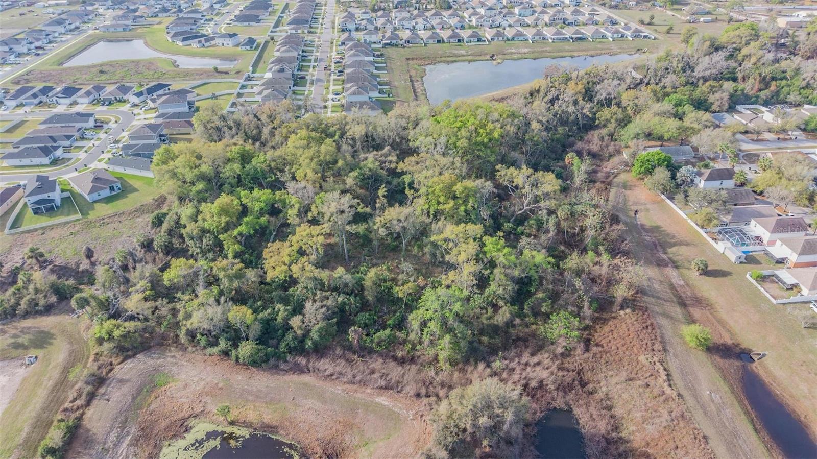 Image 3 of 20 For Miracle Mile