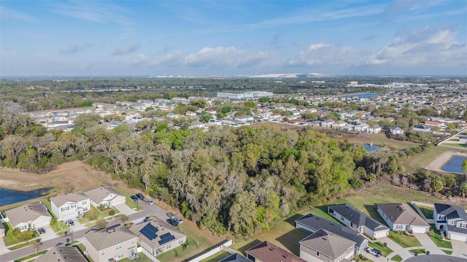 Image 6 of 20 For Miracle Mile