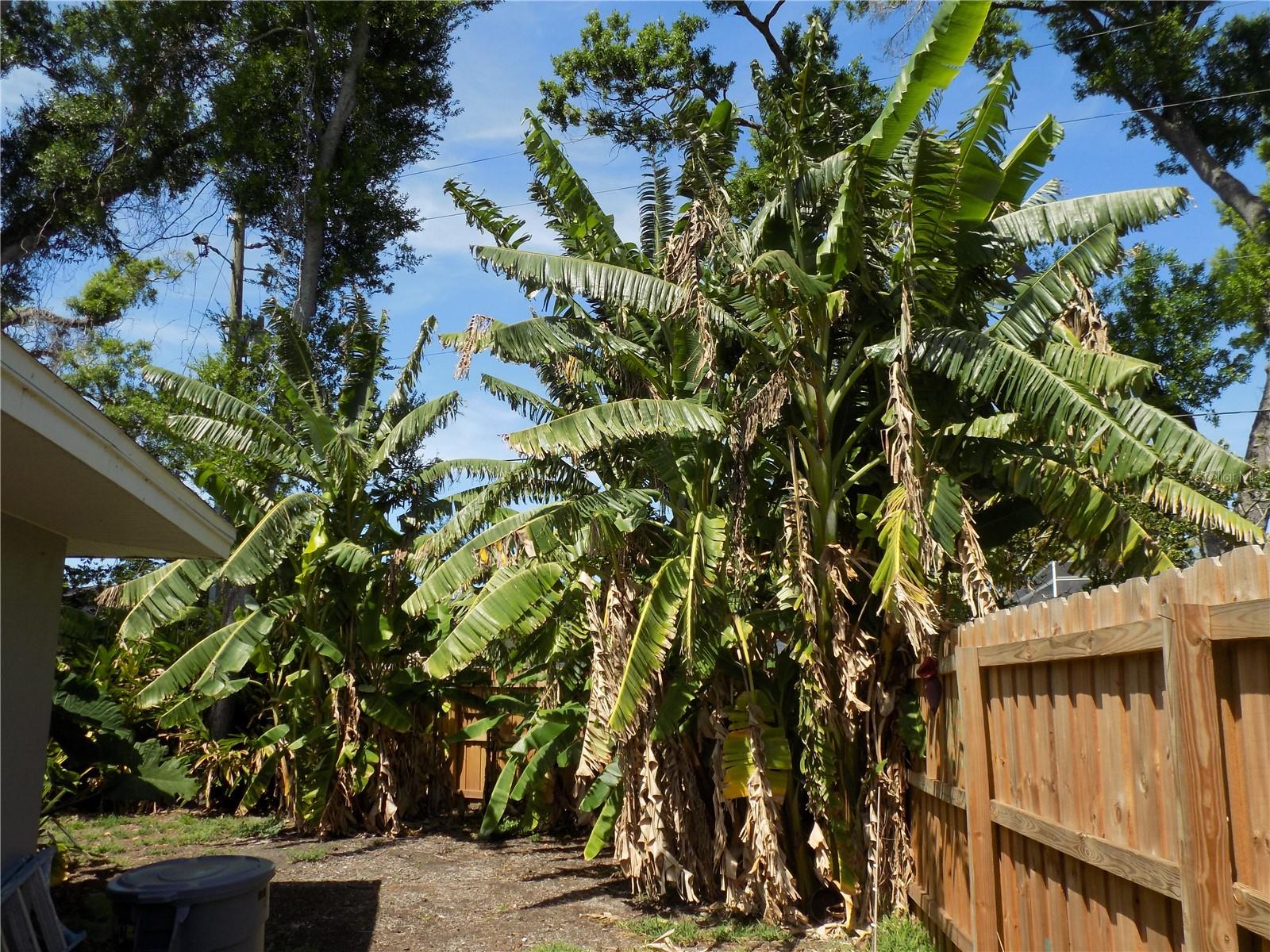 Image 34 of 58 For 2168 Kent Avenue