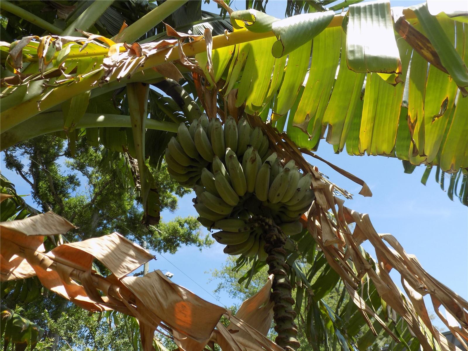 Image 35 of 58 For 2168 Kent Avenue