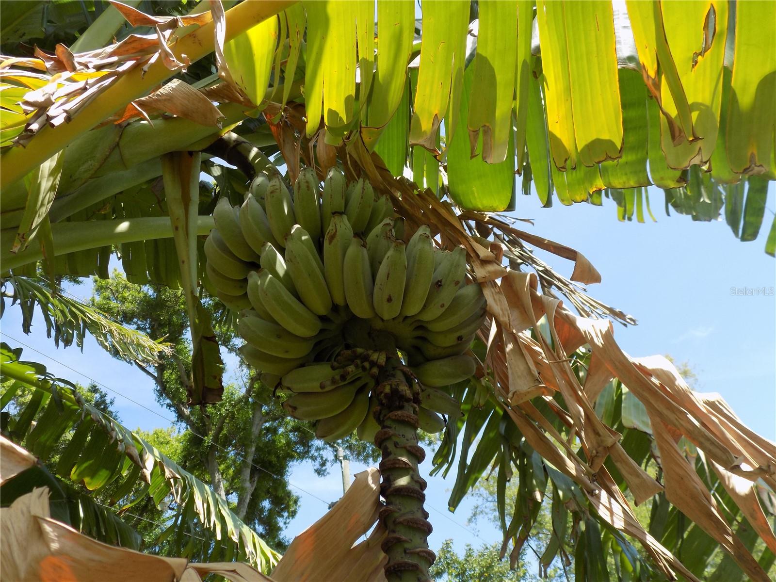 Image 36 of 58 For 2168 Kent Avenue