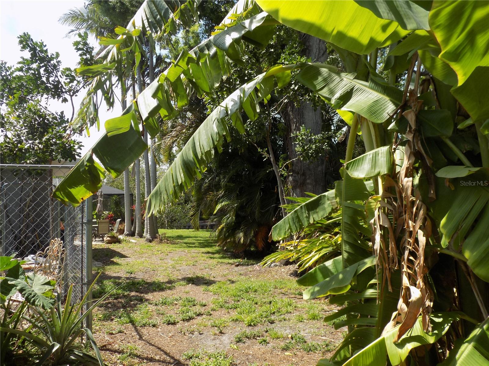 Image 37 of 58 For 2168 Kent Avenue