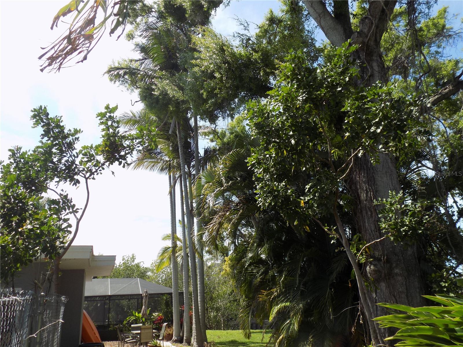 Image 38 of 58 For 2168 Kent Avenue