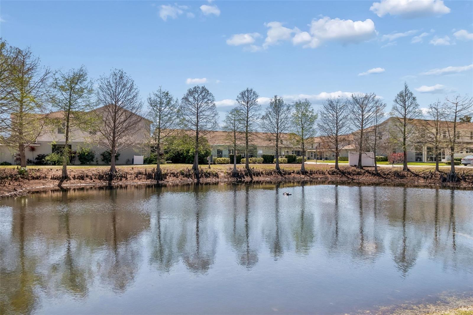 Image 68 of 68 For 5351 Neil Drive