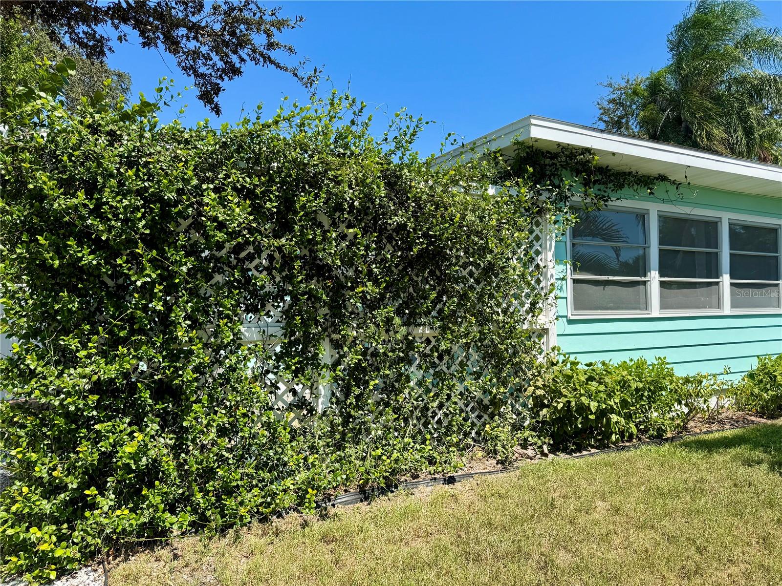 Image 17 of 30 For 637 Beltrees Street