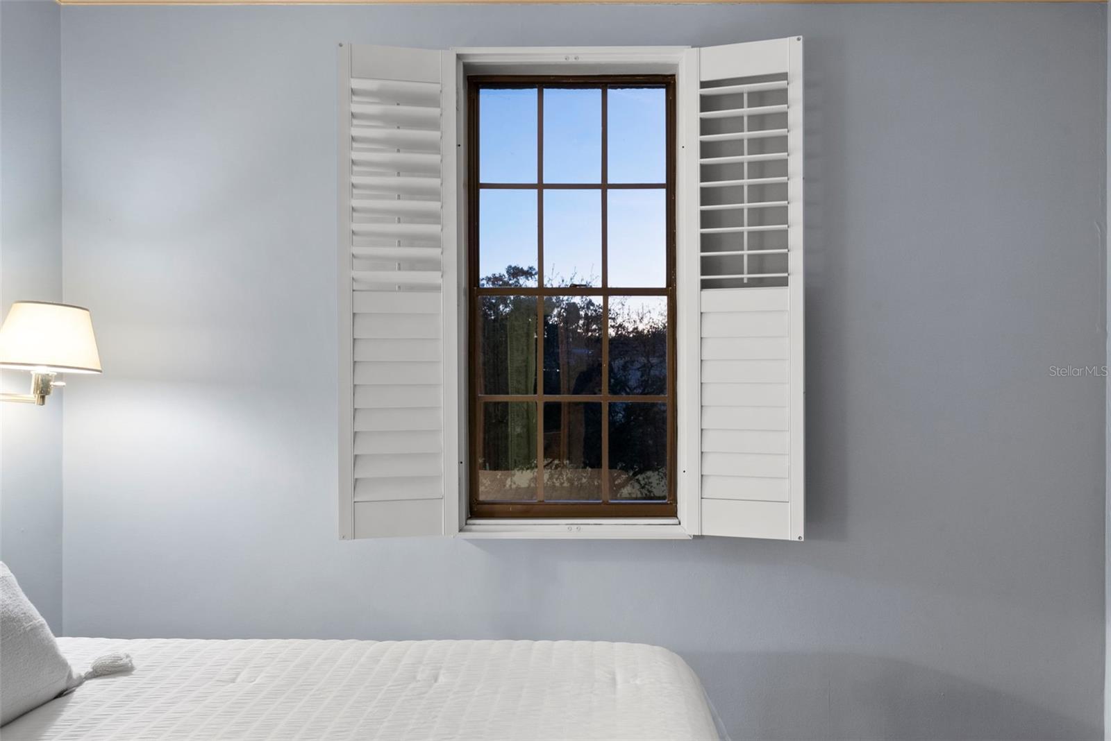 Image 50 of 84 For 5010 Bayshore Boulevard 4