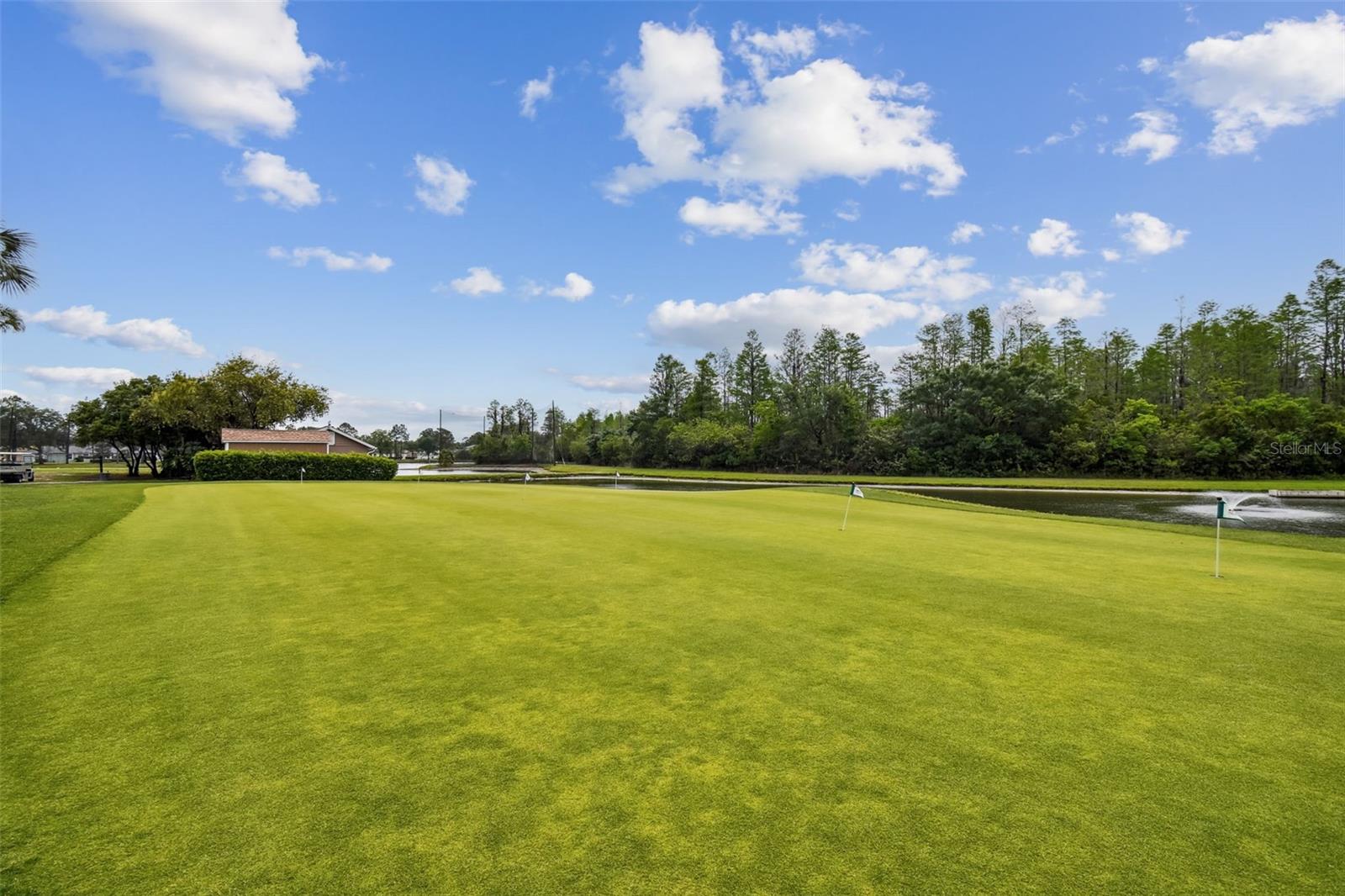 Image 60 of 80 For 20930 Jaffa Lane