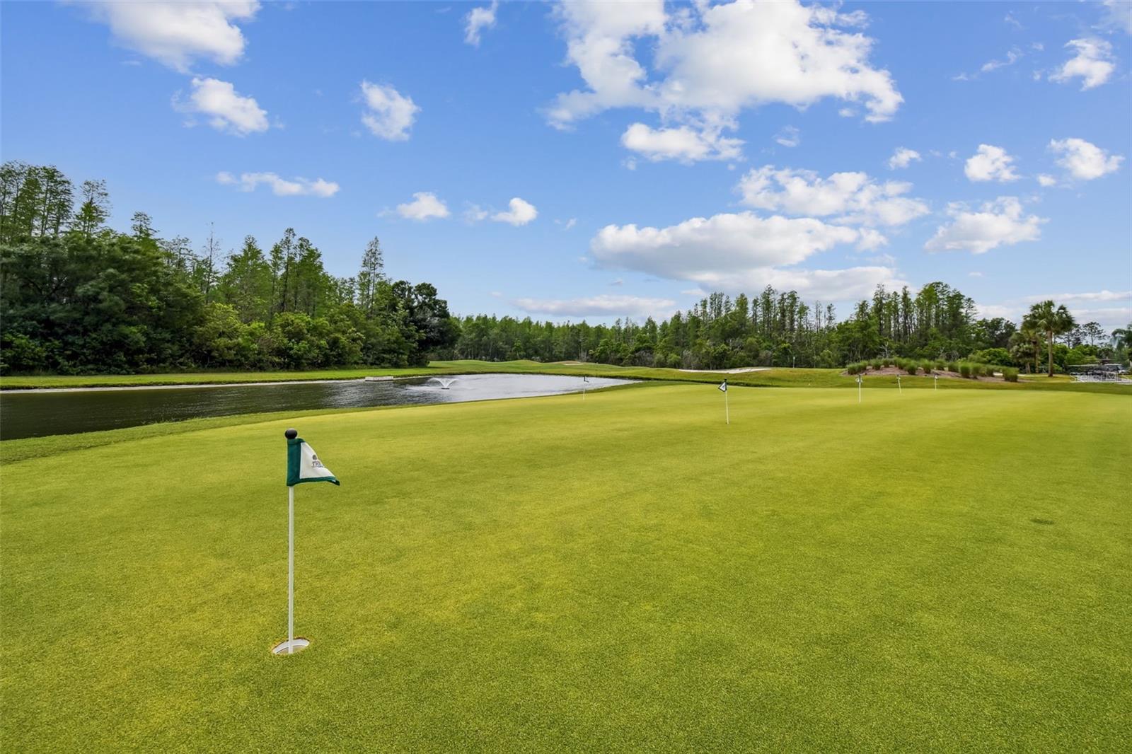 Image 62 of 80 For 20930 Jaffa Lane