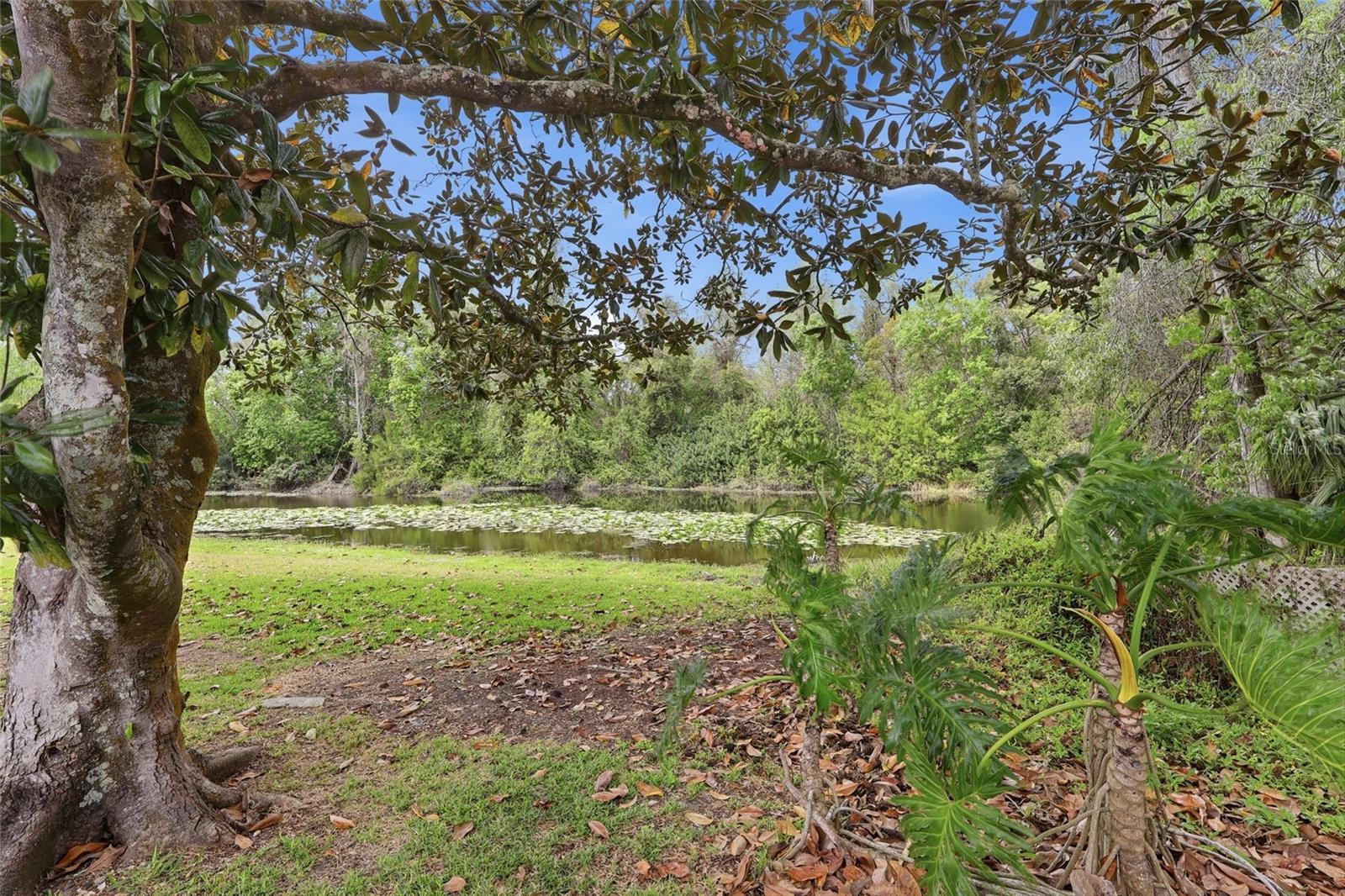 Image 20 of 30 For 7209 Magnolia Valley Drive