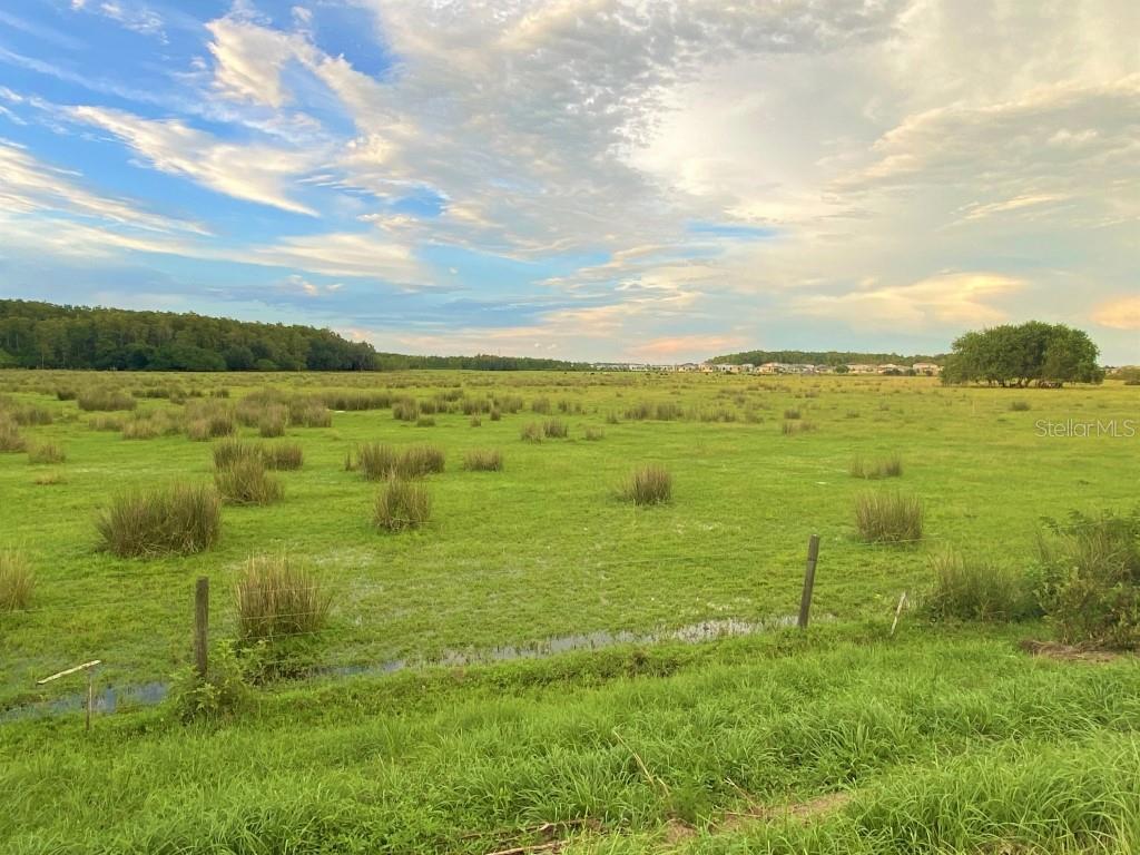 Image 12 of 34 For 5010 Four Strand Court