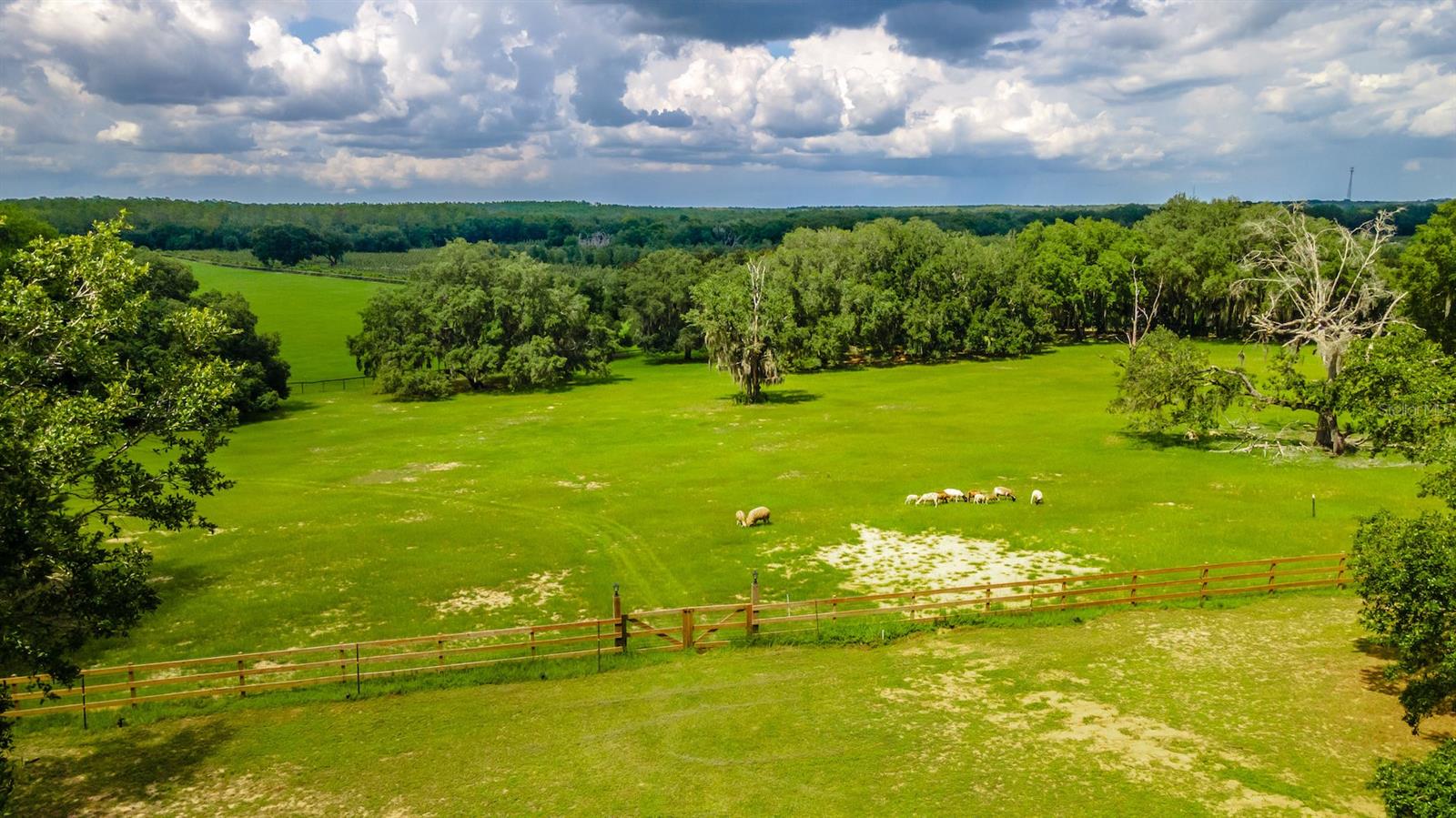 Image 53 of 60 For 23100 Highway 42