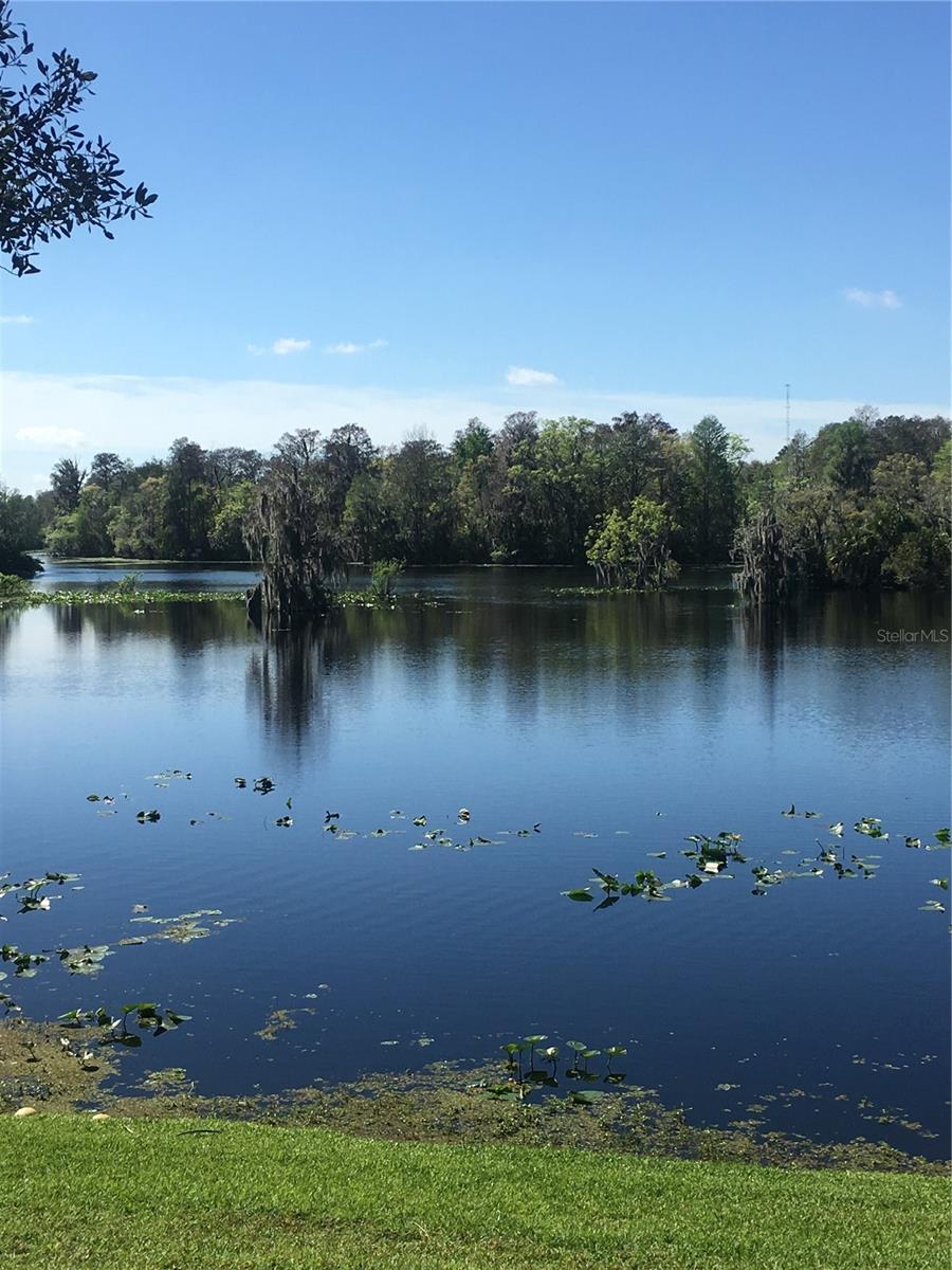 Image 14 of 17 For 7433 Terrace River Drive