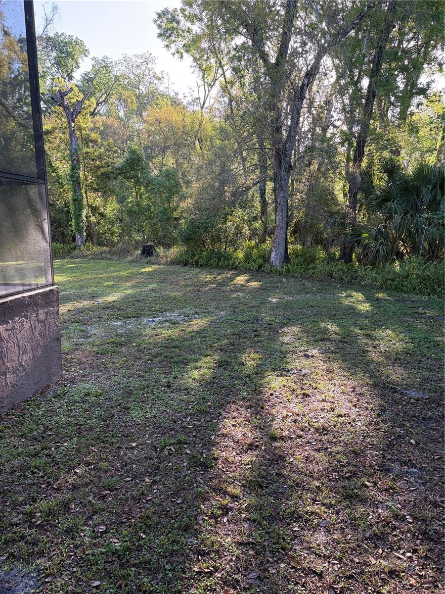 Image 61 of 66 For 10330 Armadillo Court