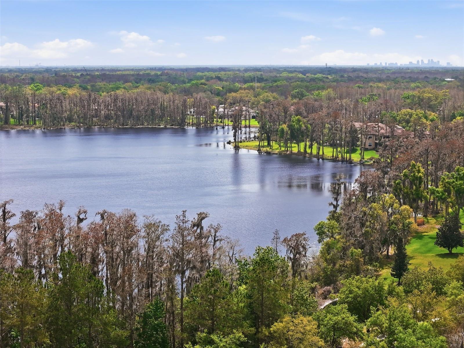 Image 6 of 85 For 1501 Amarone Place