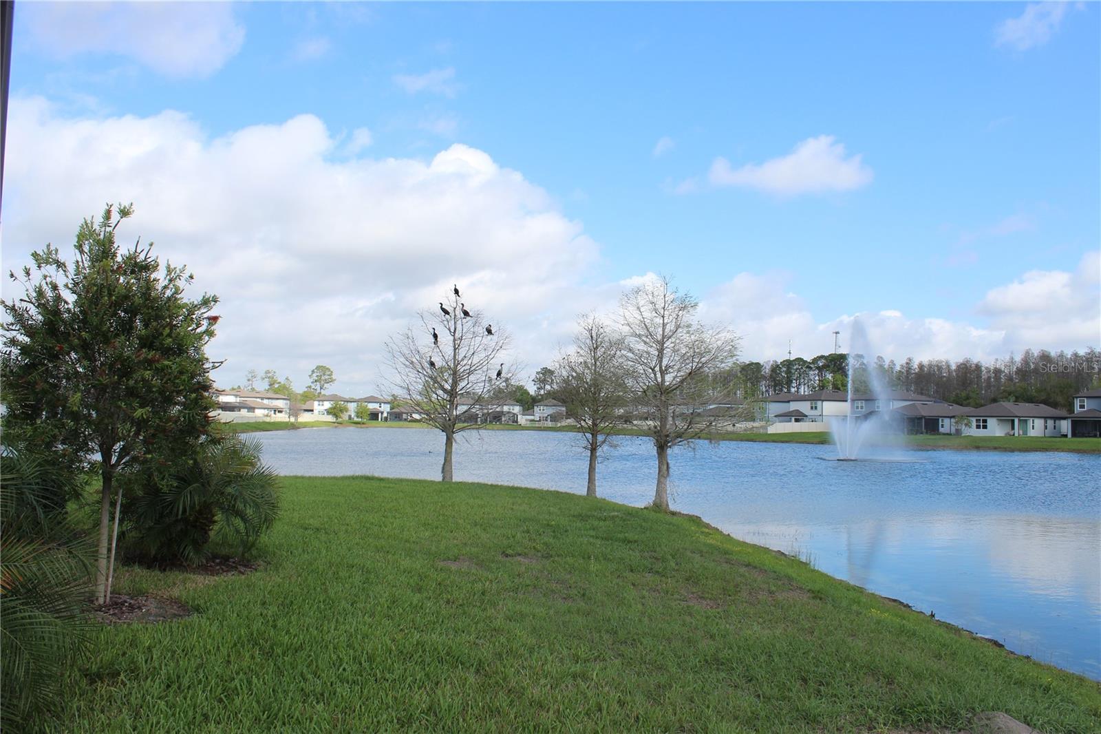 Image 8 of 9 For 20475 Monza Loop