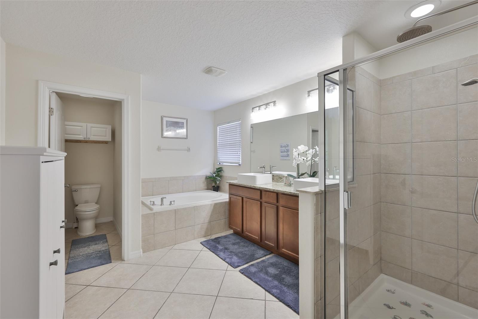 Image 15 of 28 For 10335 Summer Azure Drive