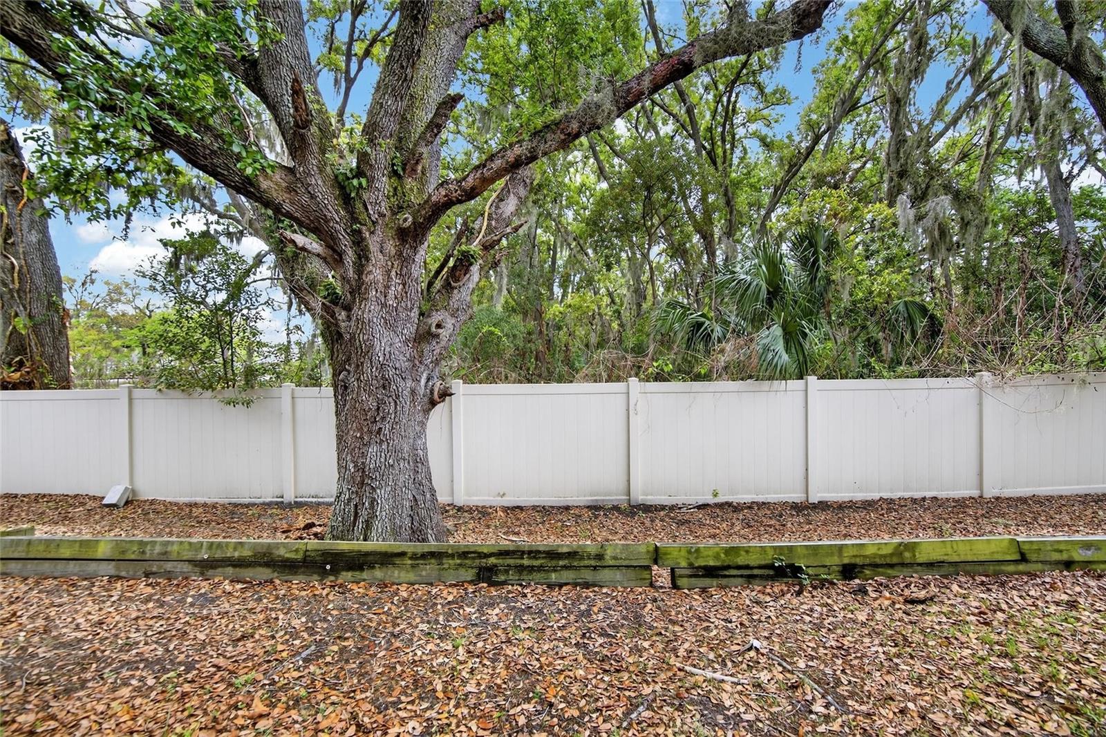 Image 21 of 59 For 3315 Pleasant Willow Court