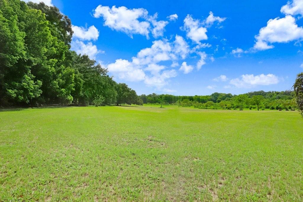 Image 3 of 17 For 37352 ½ Trilby Road