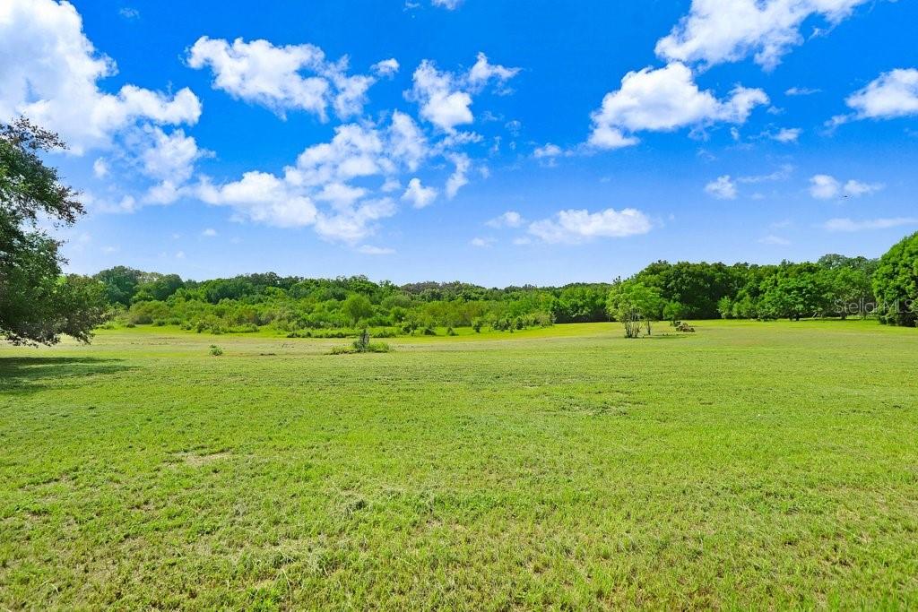 Image 4 of 17 For 37352 ½ Trilby Road