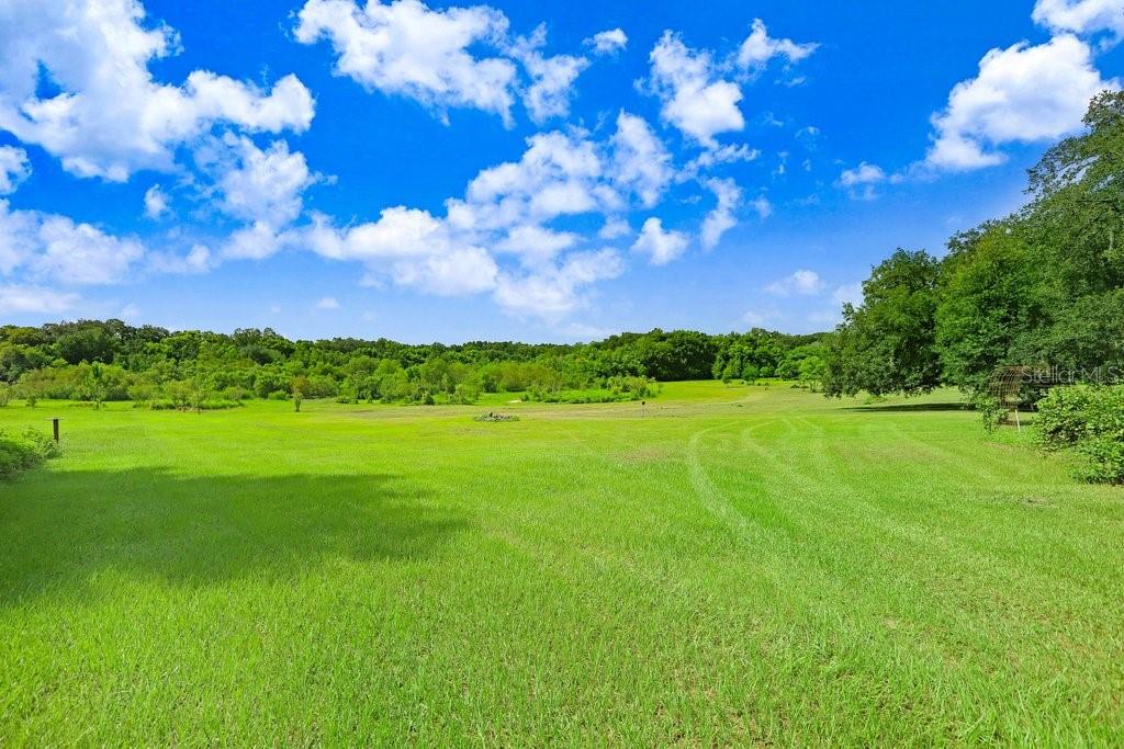 Image 6 of 17 For 37352 ½ Trilby Road