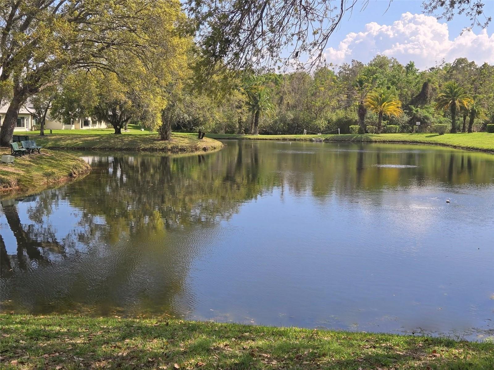 Image 18 of 66 For 3466 Sutton Place